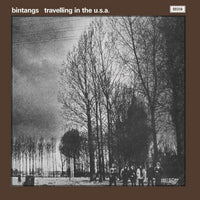 
              Bintangs Travelling In The USA (Limited Edition, 180 Gram Vinyl, Colored Vinyl, White) [Import] - Vinyl
            