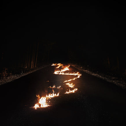 Bob Moses Battle Lines (Indie Exclusive, Clear Vinyl) - Vinyl