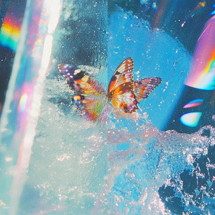 Daphni Butterfly [2LP] - Vinyl