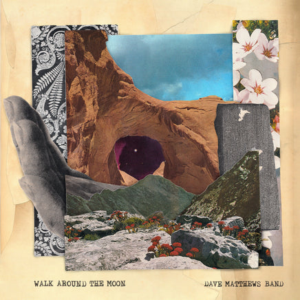 Dave Matthews Band Walk Around The Moon (Clear Vinyl, Indie Exclusive) - Vinyl