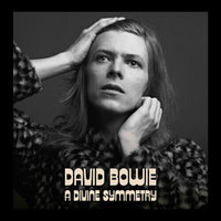 
              David Bowie A Divine Symmetry (An Alternative Journey Through Hunky Dory) - Vinyl
            