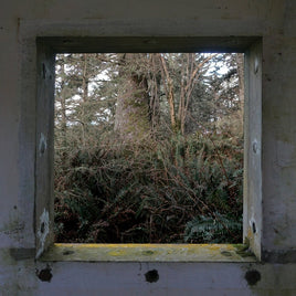 DEREK HUNTER WILSON ScuLPtures [LP] - Vinyl
