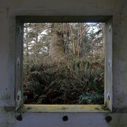 DEREK HUNTER WILSON ScuLPtures [LP] - Vinyl