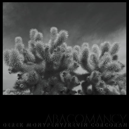 Derek Monypeny And Kevin Corcoran Abacomancy [LP] - Vinyl