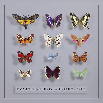 Dominik Eulberg Lepidoptera - Vinyl