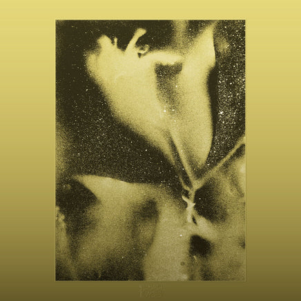 Flying Lotus 1983 - Vinyl