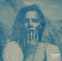 
              Halsey Badlands (Decade Edition Anthology) (Limited Edition, Multi-Colored Vinyl) (3 Lp's) - Vinyl
            