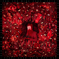 
              Iron & Wine Hen's Teeth: Loser Edition (Transparent White Colored Vinyl) - Vinyl
            