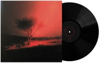 
              Joji Piss In The Wind [Explicit Content] - Vinyl
            