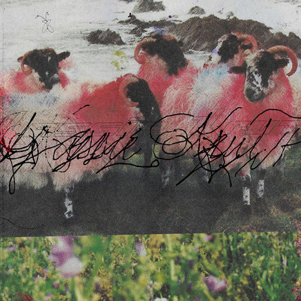 Kassie Krut Kassie Krut (Deluxe Edition) - Vinyl