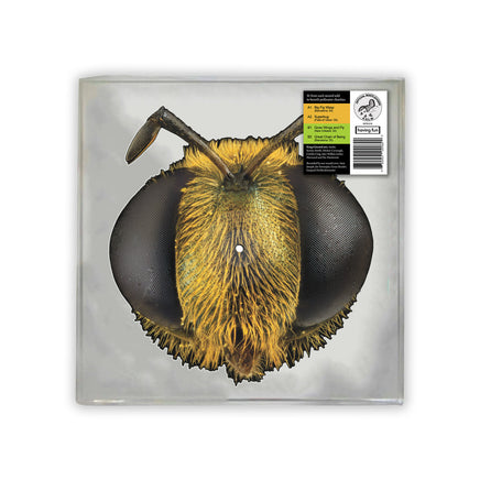 King Gizzard & The Lizard Wizard Big Fig Wasp (Bee/Bug Shaped Vinyl) - Vinyl