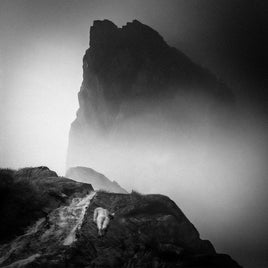 Mizmor & Hell Alluvion (Indie Exclusive Blood Moon Red Vinyl) - Vinyl