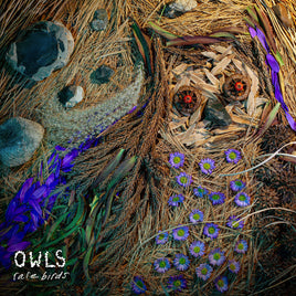 Owls Rare Birds - Vinyl