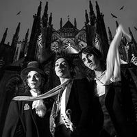 
              Palaye Royale Fever Dream - Vinyl
            
