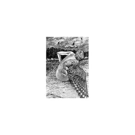 Patrick Lysaght For The Birds [LP] - Vinyl