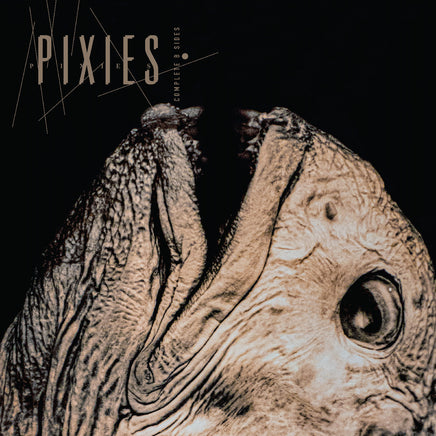 Pixies Complete B Sides: 1988-97 (Indie Exclusive, Clear Vinyl) - Vinyl