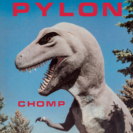 Pylon Chomp (Multi-Color Splatter Vinyl) - Vinyl