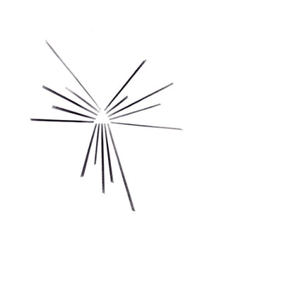 Six Organs of Admittance Mariakapel [Lp] - Vinyl