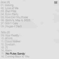 
              Sylvan Esso No Rules Sandy (Indie Exclusive, Limited Edition, Colored Vinyl) - Vinyl
            