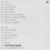 
              Sylvan Esso No Rules Sandy - Vinyl
            