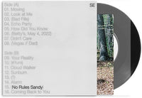 
              Sylvan Esso No Rules Sandy - Vinyl
            