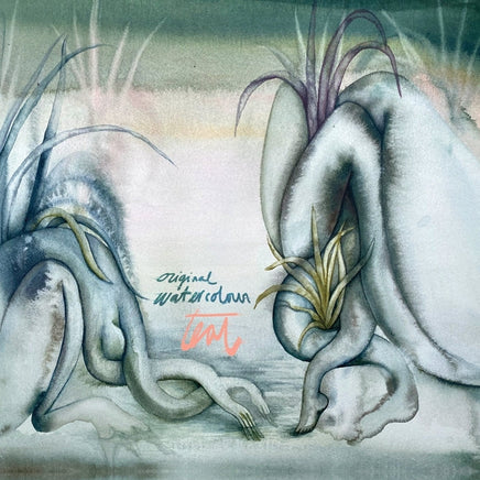 Teal Original Watercolour [LP] - Vinyl