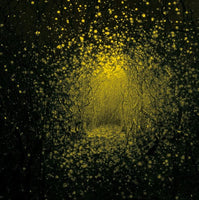
              The Antlers Burst Apart (Lemonade Yellow Colored Vinyl) - Vinyl
            