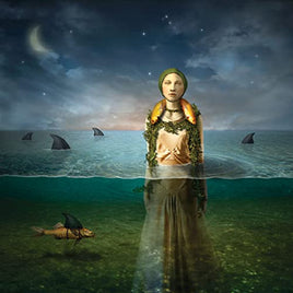 The Bled Found in the Flood (Limited Edition) - Vinyl