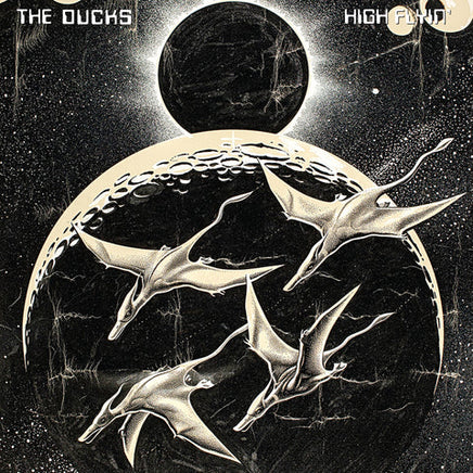 The Ducks High Flyin' (3 Lp's) - Vinyl