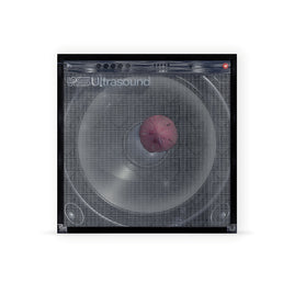 The Neighbourhood ((((((Ultrasound)))))+ (Indie Exclusive) [Mauve Vinyl] [2LP] - Vinyl