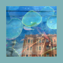 The Reds Pinks & Purples Acknowledge Kindness (Dark Cloud Vinyl) - Vinyl