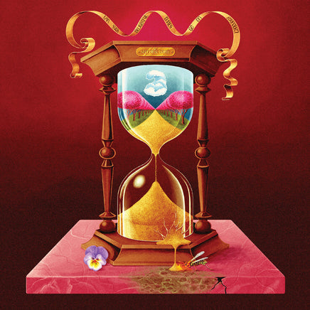 The Soft Pink Truth Can Such Delightful Times Go On Forever? - Vinyl