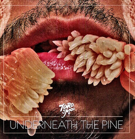 Toro y Moi Underneath the Pine - Vinyl