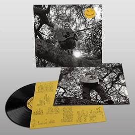 Ty Segall "Hello, Hi" - Vinyl