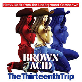 V/A Brown Acid - The Thirteenth Trip - Vinyl