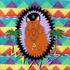 Wavves King of the Beach - Vinyl