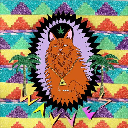Wavves King of the Beach - Vinyl