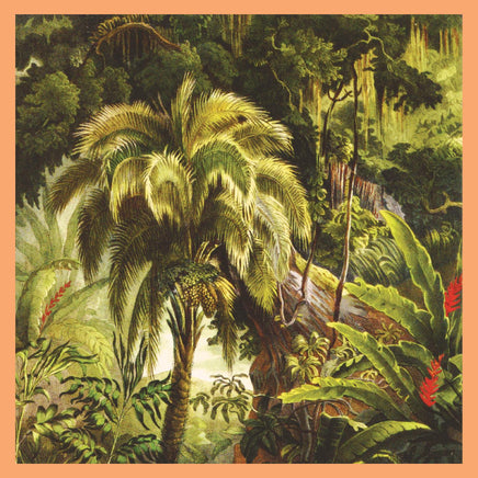Xiu Xiu La Foret [Jade Eco-Mix Vinyl] - Vinyl
