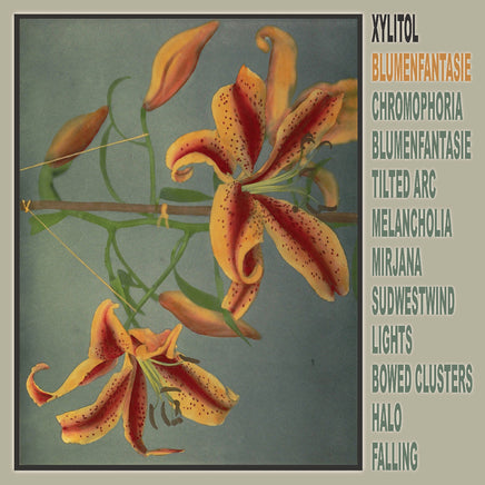 Xylitol Blumenfantasie - Vinyl