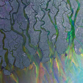 Alt-j AN AWESOME WAVE - Vinyl