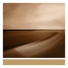 Brian Eno Small Craft On A Milk Sea (Digital Download Card) (2 Lp's) - Vinyl