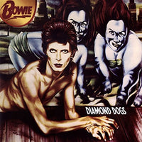 
              David Bowie Diamond Dogs (Remastered) - Vinyl
            
