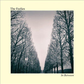 Feelies IN BETWEEN - Vinyl