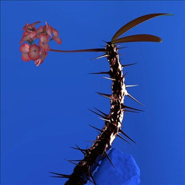 Flume SKIN COMPANION EP II - Vinyl