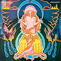 
              Hawkwind SPACE RITUAL - Vinyl
            