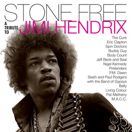 Jimmy Hendrix Tribute Stone Free: Jimi Hendrix Tribute ( ROCKTOBER 2020 BRICK N MORTAR EXCLUSIVE) - Vinyl