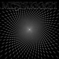 
              Meshuggah Meshuggah (Grey Vinyl) - Vinyl
            