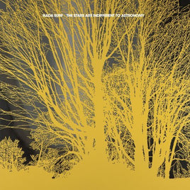 Nada Surf STARS ARE INDIFFERENT TO ASTRONOMY - Vinyl