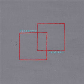 Pinegrove Cardinal (Black, Digital Download Card) - Vinyl