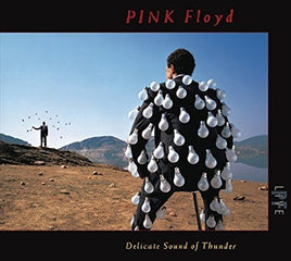 Pink Floyd DELICATE SOUND OF THUNDER (LIVE) - Vinyl